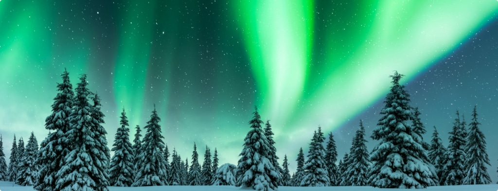 Lapland Photography Tour - northern lights over forest