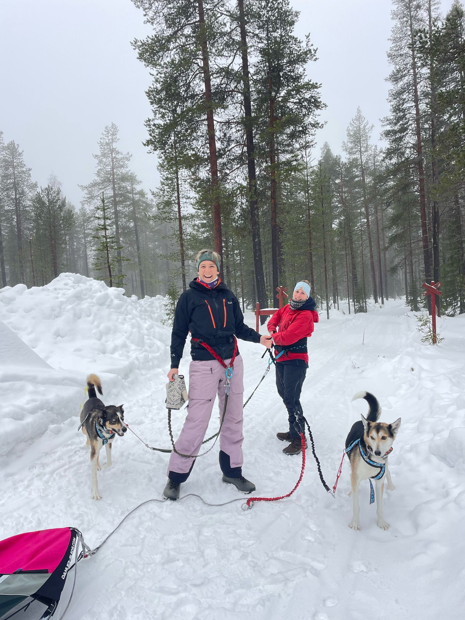 A small group snowshoeing through snowy forest in Lapland