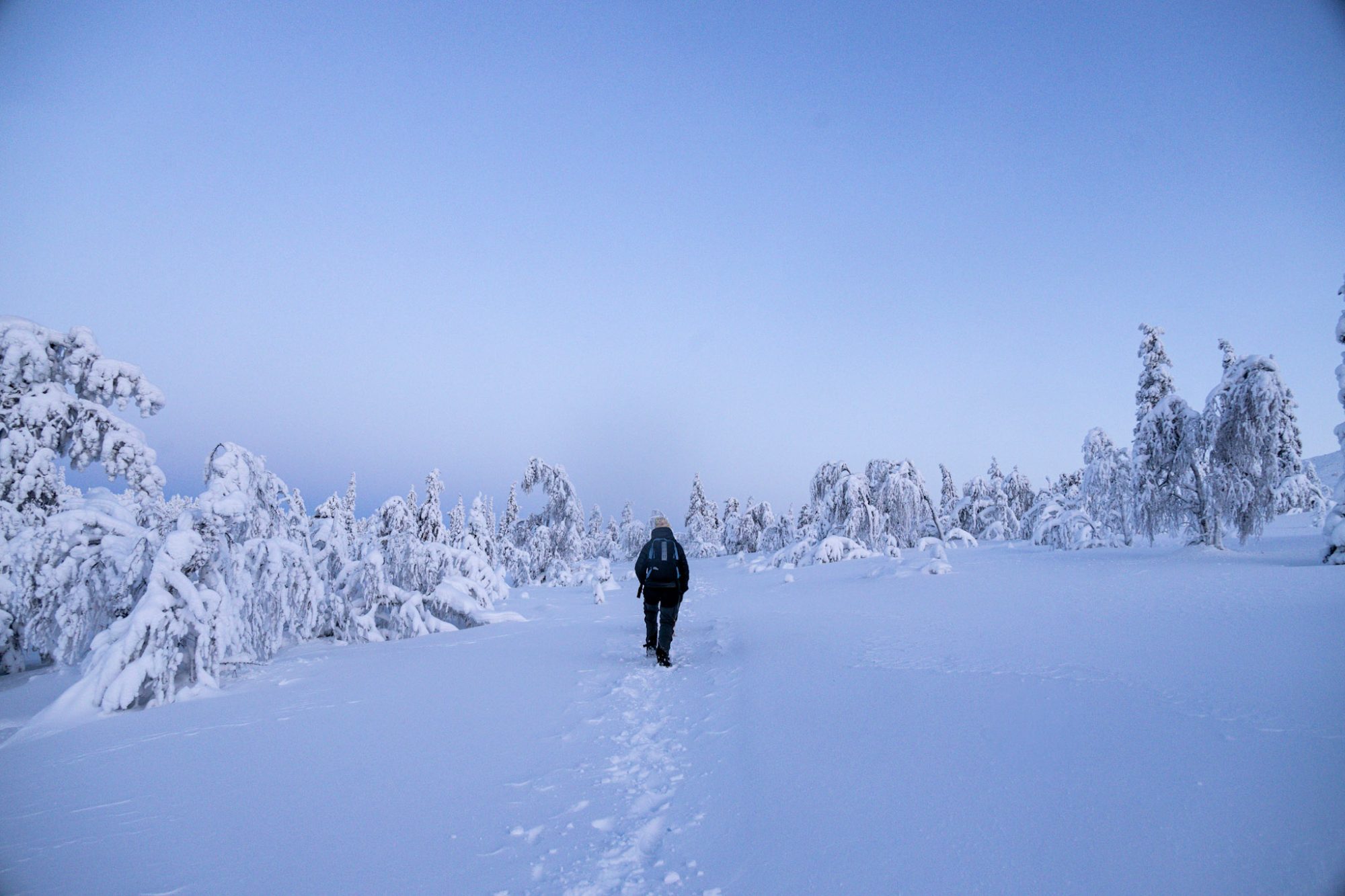 Lone walker crossing an open fell in the Arctic blue hour